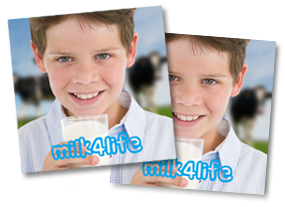 Milk4Life Brochure